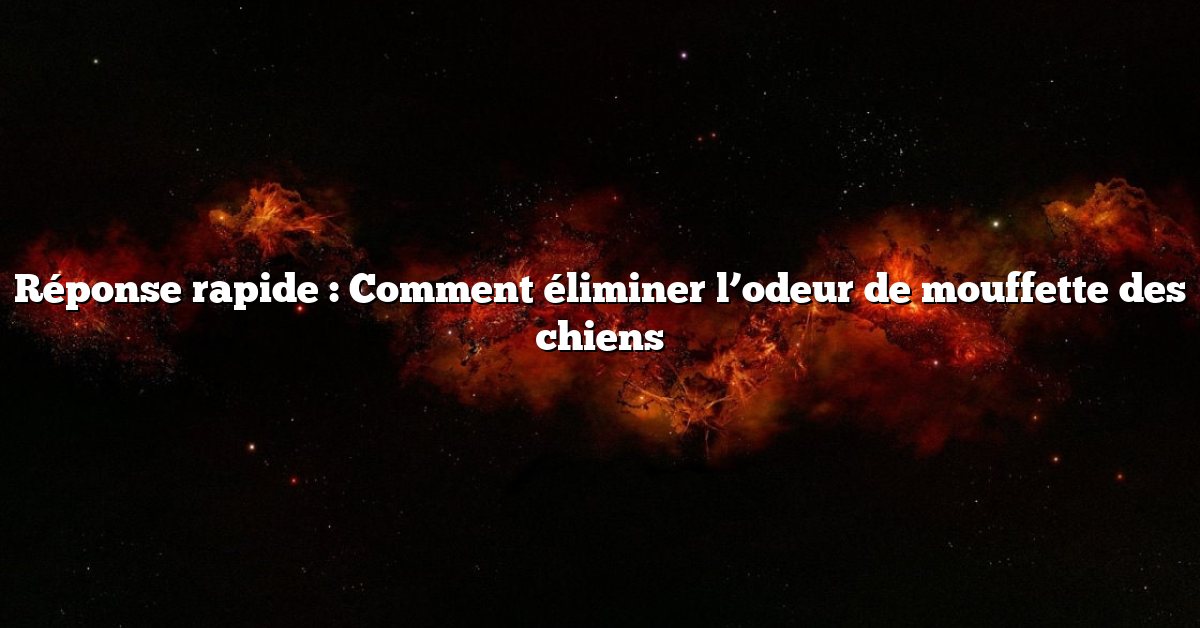 Réponse rapide : Comment éliminer l’odeur de mouffette des chiens